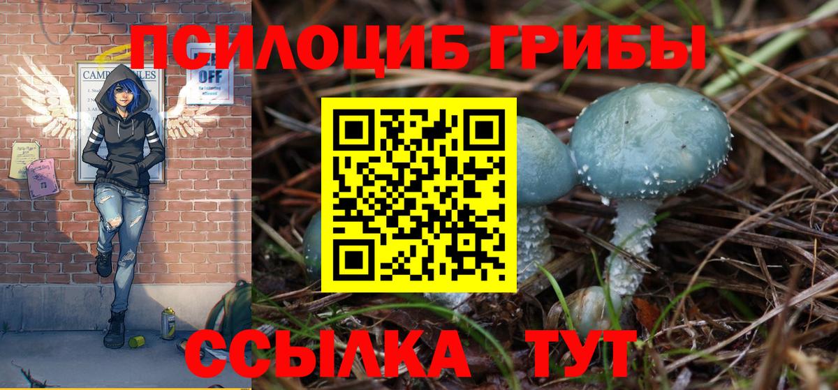 Псилоцибиновые грибы прущие грибы Петрозаводск